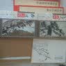 八大山人画集 实拍图