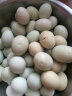 京营速发新鲜绿壳土鸡蛋乌鸡蛋农家散养绿壳初生鸡蛋草鸡蛋粮食鸡蛋 绿壳蛋 50枚(初生小蛋) 实拍图