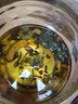菊花枸杞决明子金银花牛蒡根蒲公英凉茶养护肝熬夜去火养生花茶叶 【发4盒共40包】 实拍图