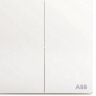ABB开关面板 二位单控双开单控开关 轩致系列 白色 AF122 实拍图
