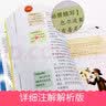 [学校推荐] 数学家的故事 小学生无障碍阅读 名师点评 老师推荐必读名著   世界经典名著文学课外阅读书 一二三四五六年级课外必读书目  人生必读书系列 开学季 实拍图