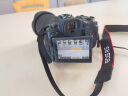 佳能（Canon）EOS R5 +RF 24-70mm F2.8 USM镜头 扫街旅拍套装 实拍图