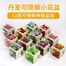 IAM City Farmer太阳花 可降解花盆套装 DIY室内阳台种植好种易开花儿童种植10048 实拍图