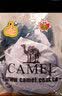 骆驼（CAMEL）运动套装女装新款跑步瑜伽健身短袖长裤弹力两件套休闲运动服 实拍图