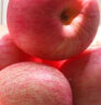 京鲜生 烟台红富士苹果 4个一级铂金果 单果160-190g 简装水果 实拍图