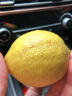 京愿 四川安岳黄柠檬  新鲜柠檬鲜果新鲜水果生鲜当季皮薄多汁大果 3斤 装 实拍图