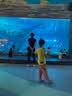 CROCS卡骆驰经典洞洞鞋儿童鞋户外童鞋休闲凉鞋拖鞋/206991/206990 骨白色-2Y2(含智必星) 30 (180mm) 实拍图