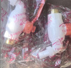 联塑PVC-U塑料水龙头塑胶龙头4分6分洗衣机洗手盆防溅加长水嘴通用型自来水开关塑料龙头 6分经典款W83104 实拍图