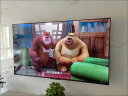 御彩 85英寸以上大屏电视机定制款 4K防爆 会议投屏 液晶KTV广告平板显示屏  实拍图