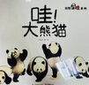 家门外的自然课：哇！大熊猫 拥抱自然，爱上阅读！关于国宝大熊猫的儿童科普图画书！ 实拍图