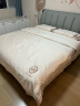 京东京造亲亲棉花床褥床垫 100%天然新疆棉花填充四季通用 双人床1.5x2米 实拍图