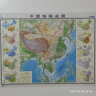 学生专用版地理地图套装共2张 中国地图挂图+世界地图挂图（约1.2米×0.9米 初中高中学生老师教师地理知识学习地图挂图墙贴 学生房教室学校） 实拍图