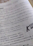 2025新版华东师大版一课一练八年级上下册语文数学英语物理增强版8年级上下初二教材教辅上海沪教版课后同步练习册全套 沪教版一课一练语文/数学/英语/物理/化学八年级上 上海中小学教辅 数学-普通-8上 实拍图