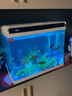 森森（SUNSUN） 超白玻璃小鱼缸客厅小型桌面家用水族箱生态免换水金鱼缸 HE600+假山景2套ZJ-18(内置棉和滤材) 实拍图
