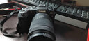 佳能（Canon）EOS RP+ 24-105mm全画幅微单套机 微单相机2620万像素 RP套机 实拍图