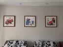 紫腾随轩新中式牡丹花开富贵装饰画客厅餐厅背景墙画卧室床头挂画壁画 图20 50*50cm（有机玻璃） 实拍图