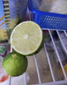 马保果海南青柠檬应季新鲜青柠薄皮绿肉柑绿鲜柠檬 实拍图