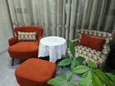 牧席客厅单人沙发椅阳台座椅复古单椅卧室小沙发休闲迷你布艺靠背椅子 阳台休闲椅-双层茶几/颜色备注 单人位 实拍图