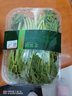 北菜园有机蒿子秆茼蒿250g新鲜有机蔬菜【进店多样加购】火锅涮菜 实拍图