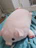 捉趣（ZHUOQU）小猪公仔可爱创意毛绒玩具玩偶陪睡抱枕靠垫娃娃玩偶女生生日礼物 BOBO猪呆萌款 80cm 实拍图