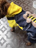宠物圈（PETCIRCLE）冬季狗狗衣服泰迪衣服秋冬装小狗宠物贵宾四脚衣服萌宠服装狗衣服 黄色款 L胸48背33cm 体重9-11斤 实拍图