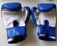 龙动力 3-12岁儿童拳击手套 小号沙袋拳套 搏击训练健身娱乐手套 蓝色001（5-10岁） 实拍图