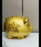 礼之源 大号招财金猪储蓄罐萌猪存钱罐生日礼物创意礼品摆件送儿童 DC金猪储蓄罐10寸 实拍图