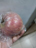 岸上人家山西红富士苹果水果脆甜冰糖心丑苹果新鲜时令水果整箱水果75mm+ 带箱3斤装单果75mm+ 实拍图
