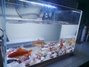 森森（SUNSUN）鱼缸水族箱超白玻璃水草缸造景桌面缸 超白350裸缸(35*21*25cm) 实拍图