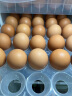兰皇90-360枚DHA可生吃食无菌蛋新鲜鸡蛋类糖溏心温泉蛋整箱商业批发 90枚 实拍图