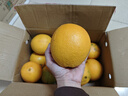集年鲜赣南脐橙手剥甜橙子新鲜现摘生鲜水果整箱节日送礼 含箱10斤净重9斤状元果（160g-260g) 实拍图