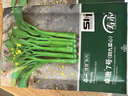 寿禾 四九菜心种子苗四季种青菜苔蔬菜籽 潍育卓嫩7号四九菜心种子50g 实拍图