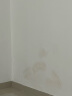 三棵树漆补墙膏乳胶漆白色墙面修补膏去污修复裂缝墙面翻新免漆腻子粉涂料 实拍图