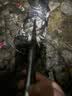 达亿瓦（DAIWA） DAIWA 21天岭 SS Q轻量鲫鱼竿振出式钓鱼竿手竿高碳轻量钓竿长尺 45 实拍图