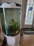 闽江（minjiang）半圆形鱼缸水族箱圆柱型金鱼缸客厅生态造景免换水锦鲤乌龟缸 纯白色+开缸礼包 BY560加高款（鱼缸+储物柜子） 实拍图