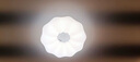 雷士（NVC）LED吸顶灯奶油风卧室吸顶灯玄关灯书房照明灯具灯饰过道灯简约 24瓦LED 奶油风玄关 花型单只装 实拍图