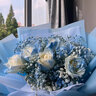 艾斯维娜鲜花速递满天星玫瑰花束送女友生日礼物全国同城配送 11朵碎冰蓝花束 实拍图