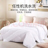 雅芳婷夏被被芯四季通用连芯被轻盈夏被被子被芯 L002T连芯夏被 1.2米适用(152*229cm) 实拍图
