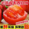 果淳乐沙瓤西红柿 普罗旺斯 可生吃新鲜水果大番茄农家蔬菜普罗旺斯 沙瓤西红柿    带箱3斤装 实拍图