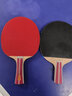 双鱼（DOUBLE FISH）二星级横直对拍乒乓球拍自营（附4球/京仓速发）2A+C/E对拍 实拍图