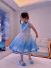 蓓然美（BeiRanMay）爱莎公主裙2025夏艾莎裙子六一儿童服装生日礼物洋气泡泡袖网纱裙 公主裙+披风 110 （建议身高95-104CM) 实拍图