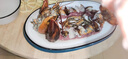 鲜驰熟冻 波士顿大龙虾波龙加拿大进口虾类活虾大龙虾海鲜 波士顿龙虾 净重400-500g*1只 实拍图