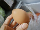 九華粮品 A+级有机富硒土鸡蛋20枚净重840g 散养草鸡蛋鲜鸡蛋  礼盒 晒单实拍图