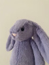 Jellycat英国高端毛绒玩具 害羞丁香紫色邦尼兔 31cm 毛绒送女友 生日礼物 晒单实拍图