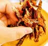 蜜禾风干鸡胸肉干肉脯肉条高蛋白饱腹零食减低肥人吃即食健身休闲食品 风干鸡肉五香味250g 实拍图