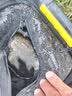 火玲珑4h28调钓鱼竿套装溪流鱼杆极细鲤鲫鱼竿长节短节手竿超轻硬台钓竿 3.6m 4h28调 短节鲫鱼竿 单杆 送杆稍 竿止 实拍图