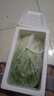 绿食者 新鲜绿叶生菜500g 罗莎绿花边花叶生菜西餐沙拉食材健康轻食蔬菜 实拍图