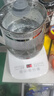 九阳养生壶1.5L煎药壶迷你玻璃花茶壶煮茶器电水壶热水壶烧水壶电热水壶 白色 1.5L 实拍图