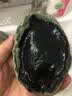 鲟食 新西兰黑金鲍 大鲍鱼高端食材生鲜海鲜水产过节送礼 新西兰黑金鲍 400-500g/只 实拍图