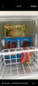 志高（CHIGO）小冰柜家用冷冻小型一级节能省电迷你卧式冷藏保鲜储母乳冷柜 一级能效-58L-单温单门 晒单实拍图